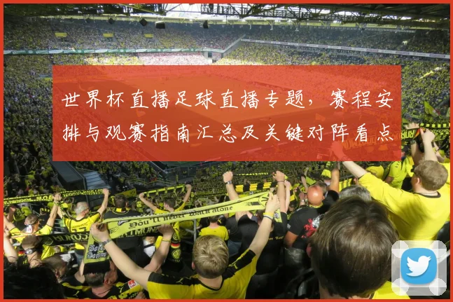 世界杯直播足球直播专题，赛程安排与观赛指南汇总及关键对阵看点影响