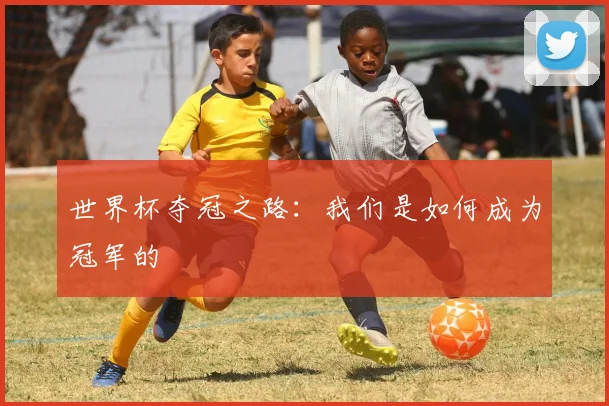 世界杯夺冠之路：我们是如何成为冠军的