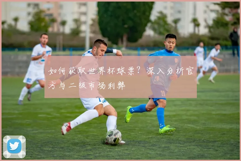 如何获取世界杯球票？深入分析官方与二级市场利弊