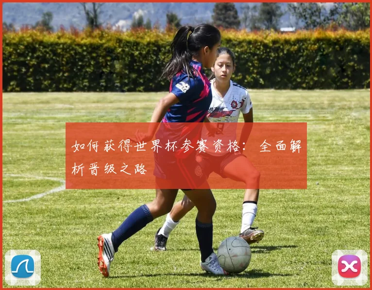 如何获得世界杯参赛资格：全面解析晋级之路