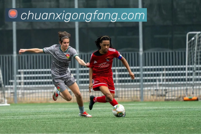 数据防护可视化